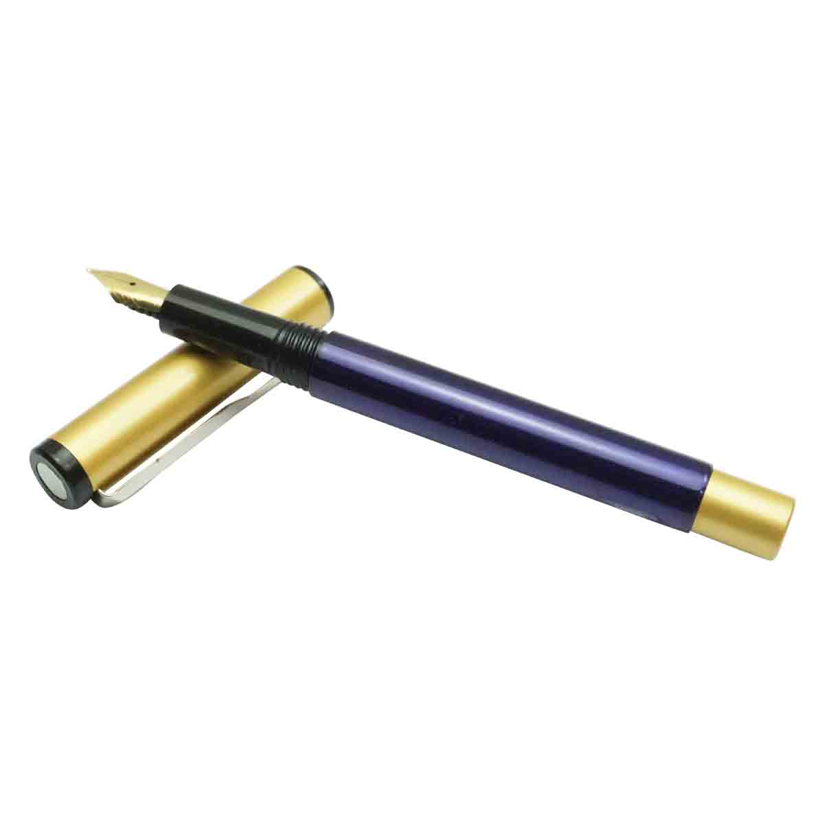 Oliver 81 Violet Color Body With Golden Color Cap Fine Nib Eye Dropper Model Fountain Pen SKU 18752