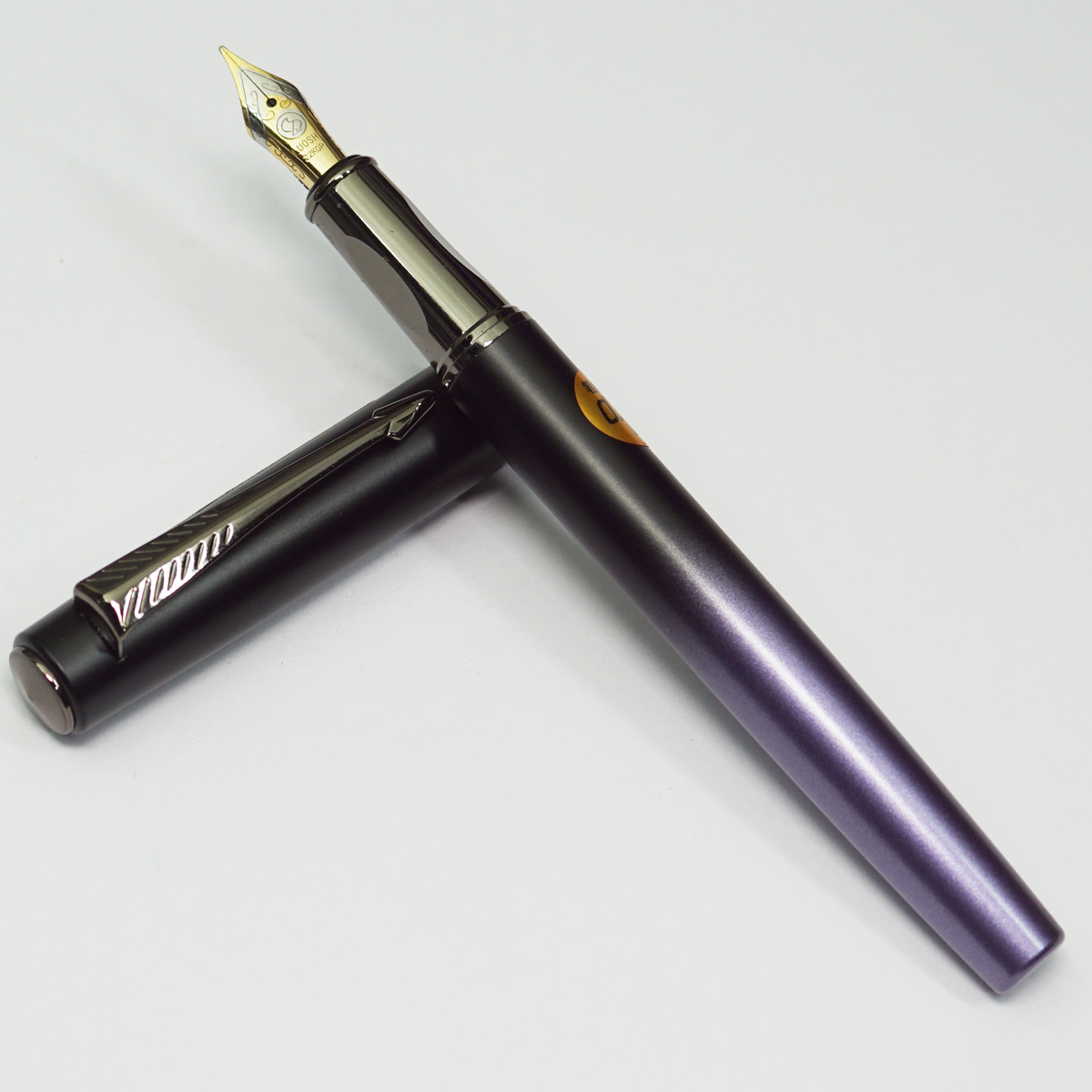 Luoshi 5162 Black With Violet Color Body With Silver Clip 0.5mm Medium Nib Converter Type Fountain Pen SKU 22800