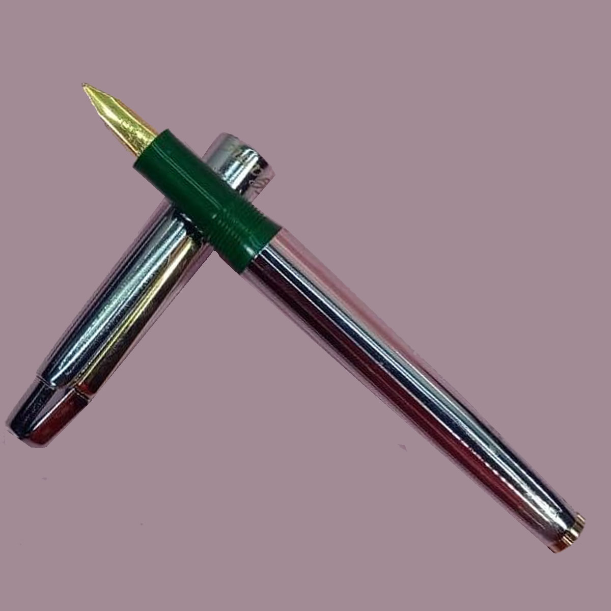 Gama Silver Color Body With Green Color Grip Gold Nib Eye dropper Model Fountain Pen SKU 28323