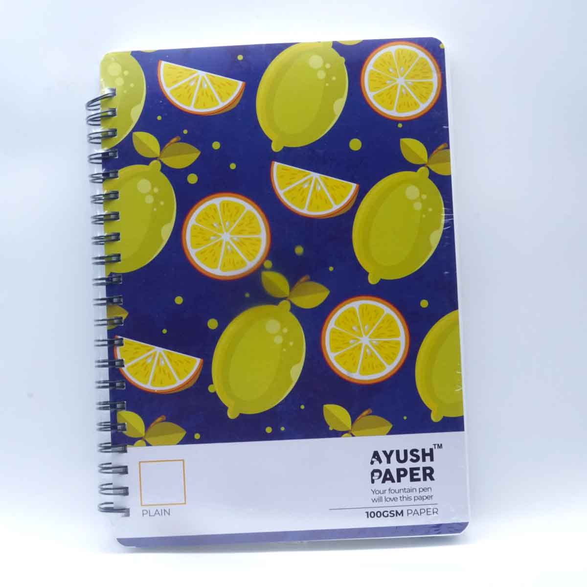 Ayush Paper Blank book B5 wiro 100PGS/100GSM SKU 51092