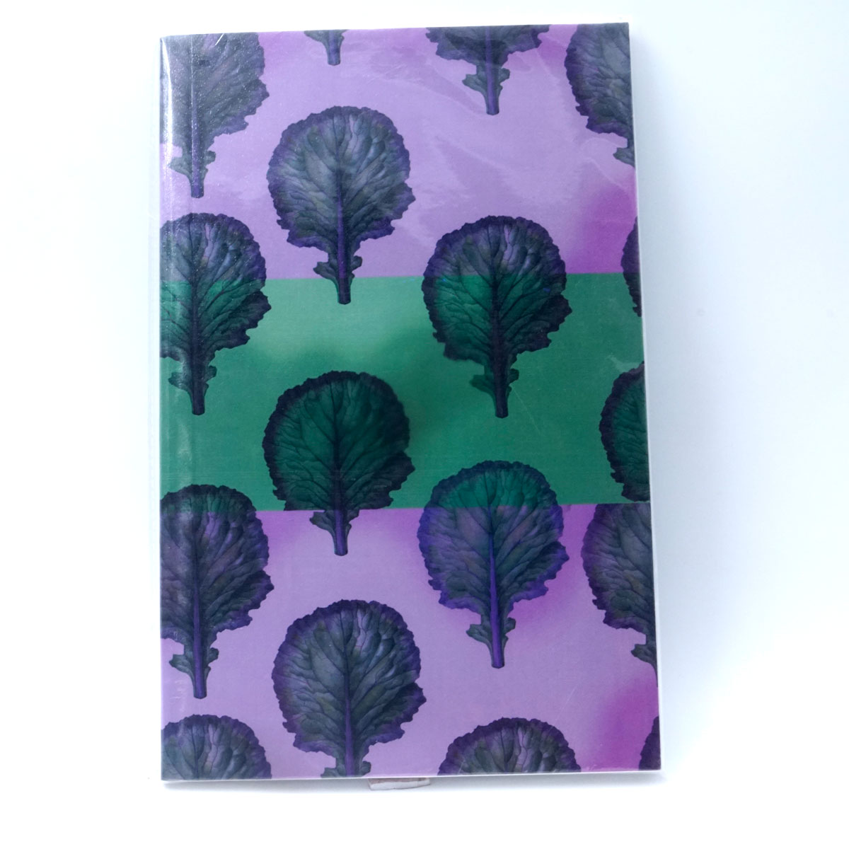 Ayush Paper Purple With Green Color Design 50 Pages F.P-A5 (PB) 100 GSM Ruled Note Book SKU 51428