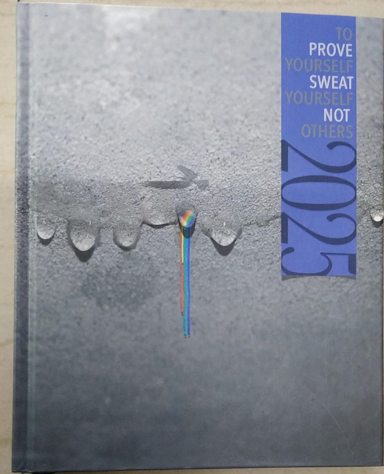 Penhouse.in 2025 To Prove Yourself Diary Grey With Blue color SKU 51555